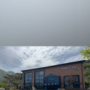 카페나비드 이미지