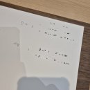 대구 • 뮤오르 , 수누주얼리ㅣ 웨딩밴드 투어 ㅣ 캄밴드 썬라이트 서담 착용 후기