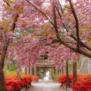 척산온천 이미지