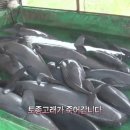 【감상】 &#39;당진 토박이말&#39;이 돋보이는 이득주 수필가의 시 한 편 이미지