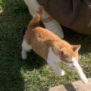 여수기억 이미지