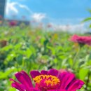 녹지약국 이미지