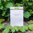 (유)메디컬준 이미지