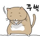 팽성북로 이미지