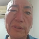 유퉁 카카오 검색결과