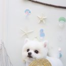 샵 세린파크 이미지