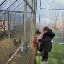 뜰농장 | 🍓퇴촌 딸기따기체험 뜰농장 6번째 방문 후기｜서울근교 아이와 가볼만한곳