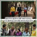 팔도상회 이미지