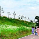 중원문화길 1구간 이미지