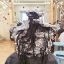 제제미용실 이미지