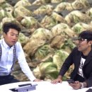 (주)데마시안
