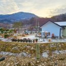 숲속개울가 이미지