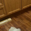 한입주개 이미지