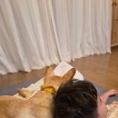 이솔팜빌리지 소리재 이미지