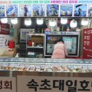 속초대일호방어1 네이버블로그