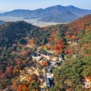 싱그러운청도로(가을) 이미지