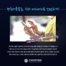 메디 바로 이미지