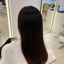 온양애견미용 | 아산 온양온천 미용실 찰스리헤어테크 , 손상모 모발클리닉 후기