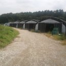 용인농장 이미지