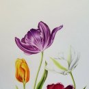 보테니컬아트 이미지