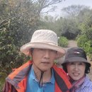 비블리아성서식물원 이미지