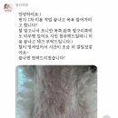 편안하댕 이미지