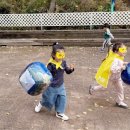 광명생명숲어린이집 | 안양 어린이집 옥스포드숲 어린이집 11월 창문학교 이야기