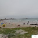 해난디아장 이미지