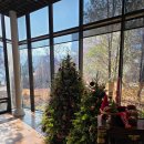 살롱 드 쟈스민 이미지