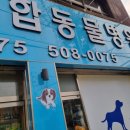 청천 종합 동물병원 이미지