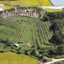 사과나무부동산중개사무소 이미지