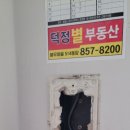 5단지비디오 이미지