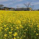 하대1리 이미지