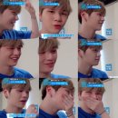 댕댕이지 이미지