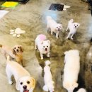 주안서로 이미지