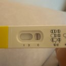 선일약국 | 임테기 노예였던 나의 기다림 끝에… 결국 두 줄을 봤어요 (극초기 후기)