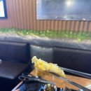 토지닭갈비