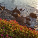 달마루 - 전주시 완산구 최명희길 16-5 | 달마루