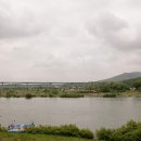 목계숲 1 이미지