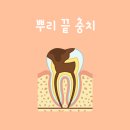 더블유치과 이미지