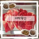 급 고기 땡길때 시흥정육점 대박축산 배달 후기