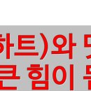 미필스키랜드 | 강원랜드 하이원리조트 스키장 고객센터 알바 후기