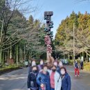 제주기사 이미지