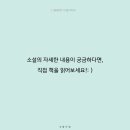 시작은마들렌