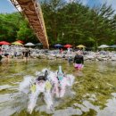 백운계곡 이미지