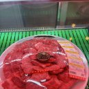 참숯한우천국팔당점 | 남양주 팔당한우맛집 참숯한우천국 팔당점 끝내주게 맛있었던 한우