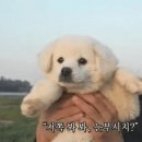 제일축산가든