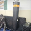 포항레슬링 팀헐크 이미지