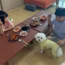 더비치(몽벨르)펜션 | 승봉도 펜션 단체펜션 애견동반 가능한 승봉도비치펜션
