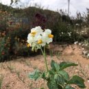 언제나,예쁘다 이미지